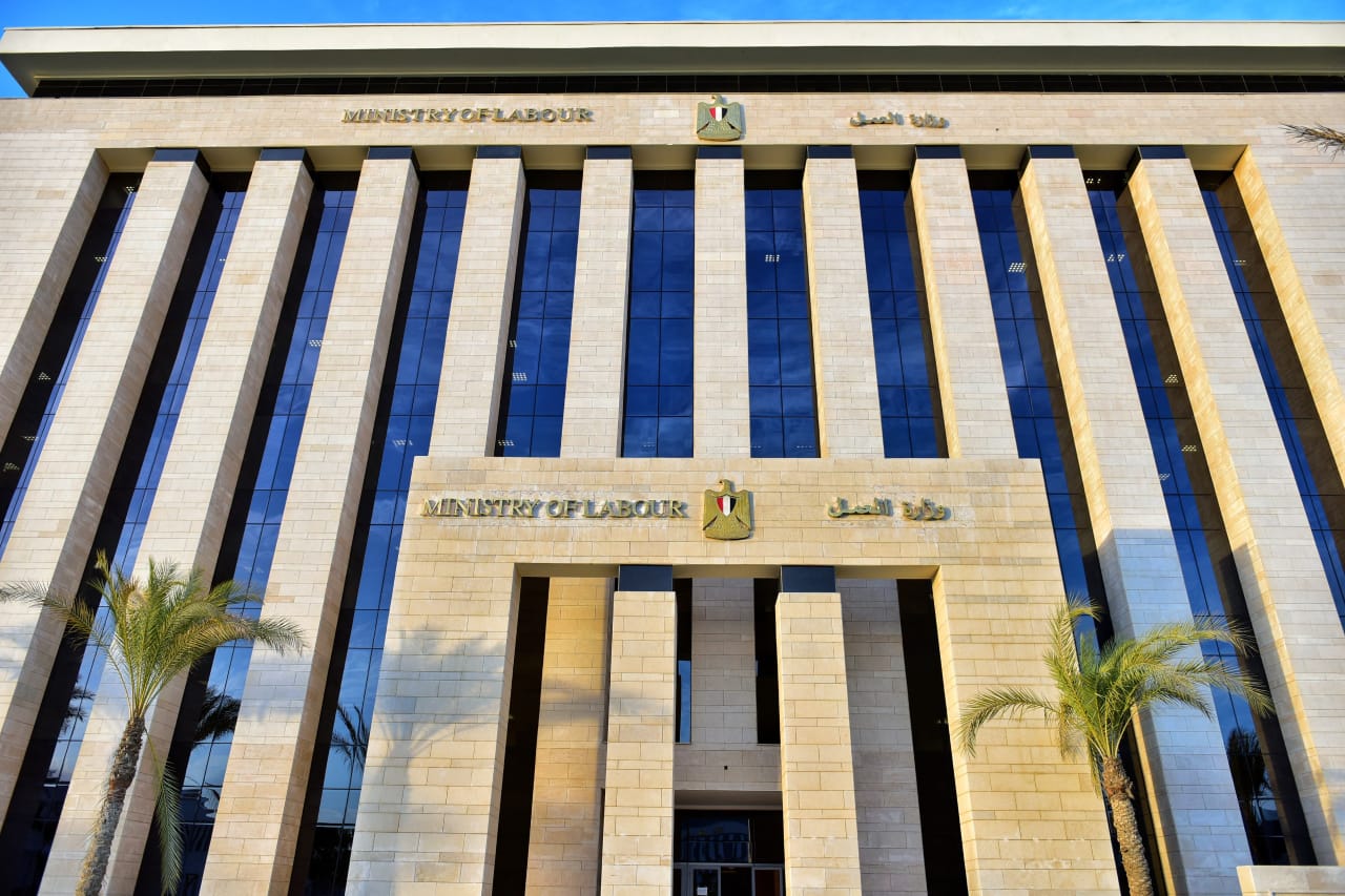 وزير القوى العامله 